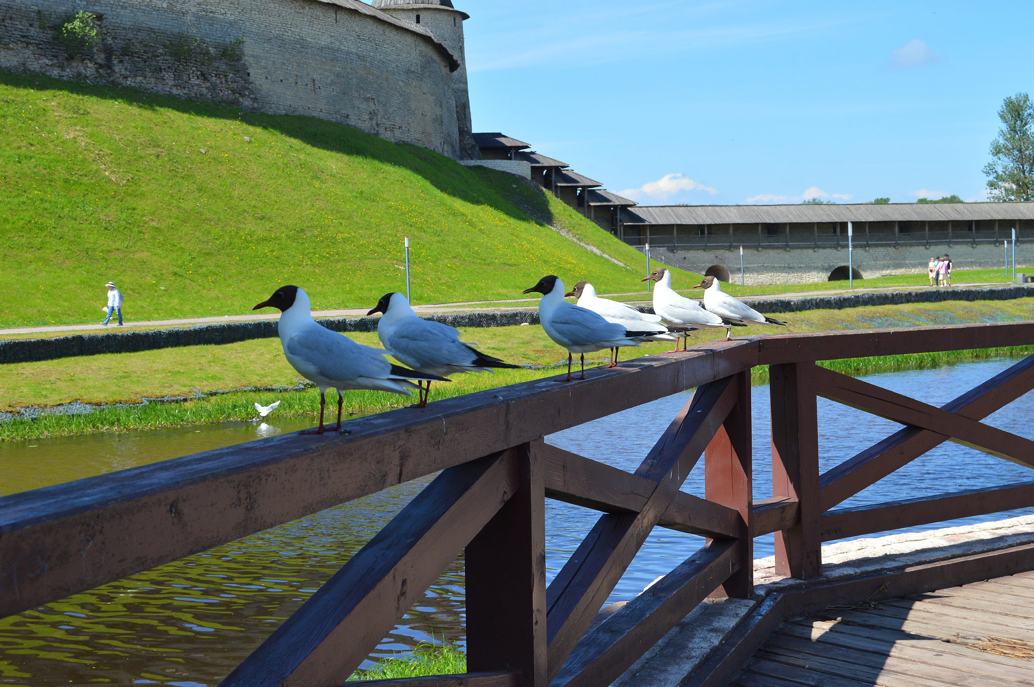 Псков (Pskov)